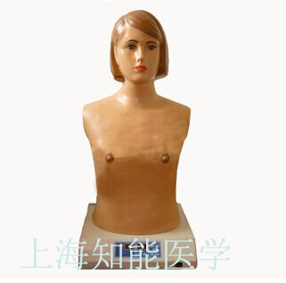 心肺聽診是檢查什么的