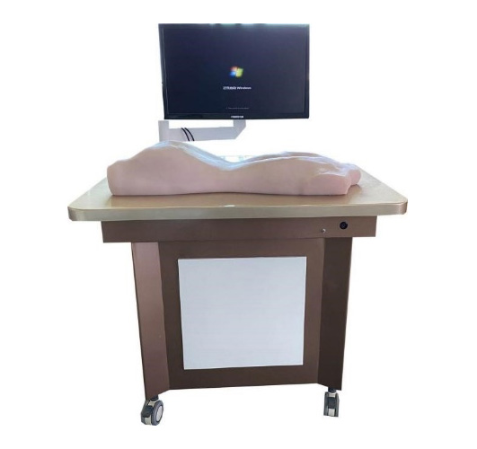 中醫(yī)拔罐、刮痧、推拿練習(xí)模型(BIX-BGTMX)